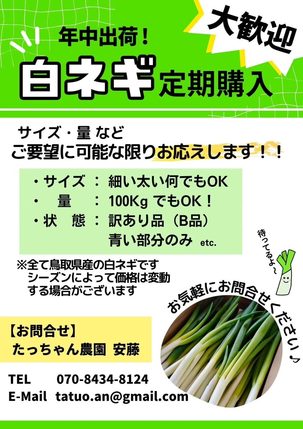 鳥取県産 白ネギ 15kg 『夏若葱』長ネギ - 野菜