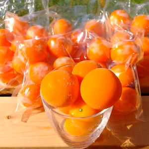 シャキッと美味しい！!  冷凍きんかん (ハウスキンカン)   