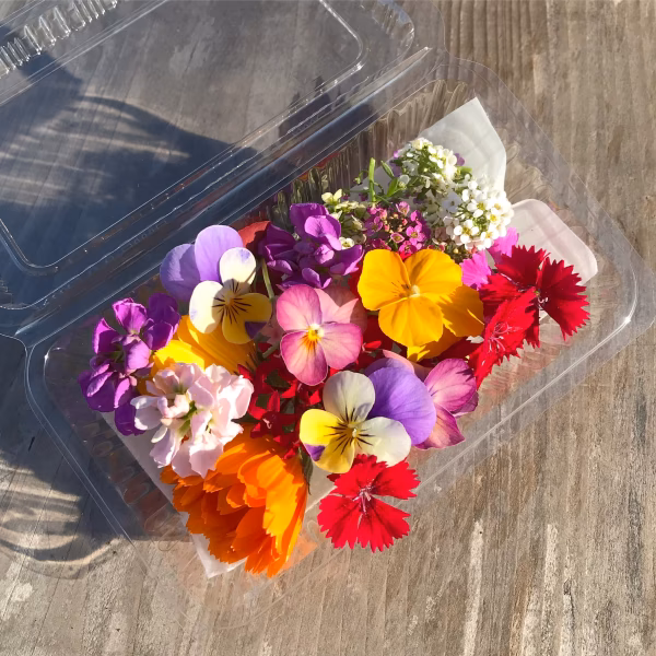 エディブルフラワー4パック〜 季節ミックス(食用花)