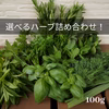 【自由に選べる！】摘みたてフレッシュハーブ詰め合わせ