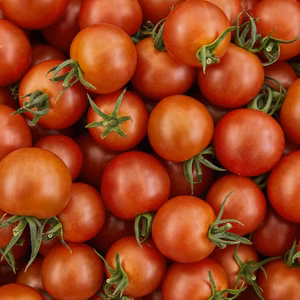 【ひょうご推奨ブランド】八百ちゃんトマト（中玉）