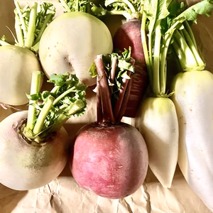 訳あり❕冬のカラー根菜セット