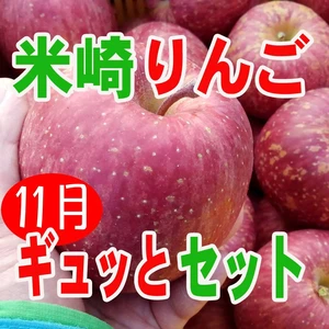 【米崎りんご】11月のりんごギュッとセット！2.5㎏～