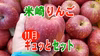 【米崎りんご】11月のりんごギュッとセット！2.5㎏～【予約販売】