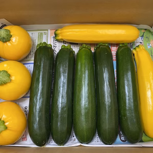 【常温配送】ズッキーニ3種10個のミックスセット