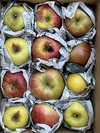 【品種おまかせ】規格外 訳あり キズりんご 箱満タンで発送します❗️信州りんご 