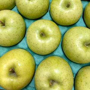 【青りんごの王様！】王林　秀　3キロ