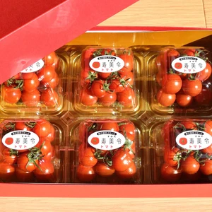 【贈答用】寿美令トマト（150g×6個／化粧箱入り）フルーツトマト　ミニトマト