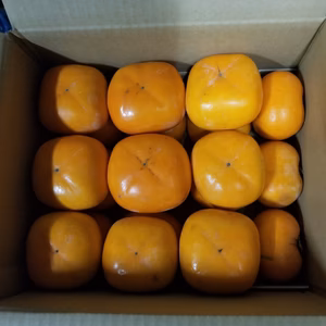 【送料無料】たねなし柿　(家庭用) 　5kg (20個程度)