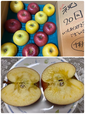 みんなの投稿の画像