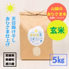 【天日掛け干し】山師のおひさま米（玄米）/5㎏