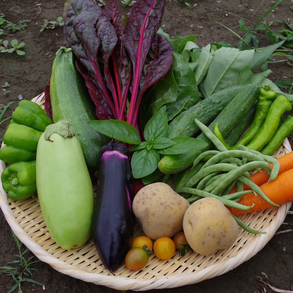 自然栽培 農薬不使用固定種夏セット80サイズ自然栽培 無農薬 固定種 野菜セット - 9