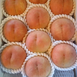 桃あかつき