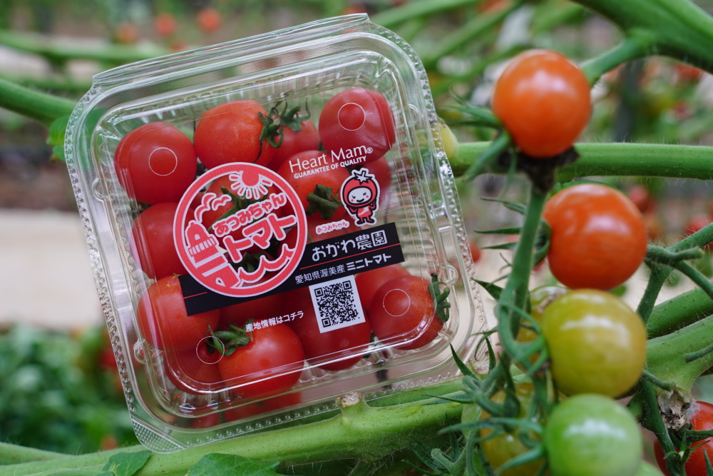 コロナに負けるな あつみちゃんトマト 0gパック ミニトマト 農家漁師から産地直送の通販 ポケットマルシェ