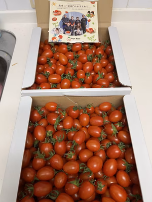 みんなの投稿の画像