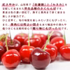 【送料無料】紅さやか さくらんぼ 500g｜山形県産・早生品種 M・Lサイズ混合