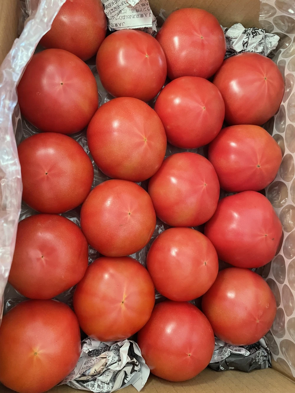 【お得な訳あり】80サイズ箱いっぱい約3.8kg新鮮桃太郎トマト♡食べたらトリコ