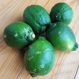 ★天草レモン★訳ありグリーンBOX★