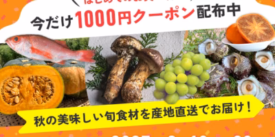 【atone会員限定】ポケマル初回購入1,000円OFF｜旬の秋の味覚をお得に楽しもう