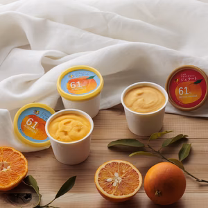 三ヶ日みかんジェラート（３個）ブラッドオレンジェラート（３個）計６個