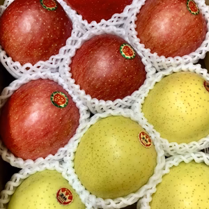 サンふじ＆王林【今だけ特価！王道の2品種ミックス！】最高級3キロ