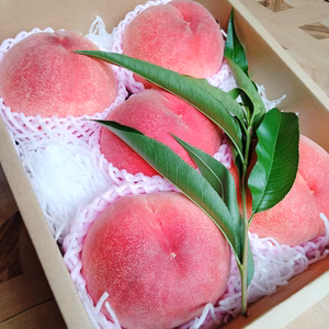 8/7まで受付7月下旬～８月中旬までに発送❗特大贈答用桃3kg【硬くても甘い桃】