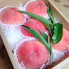 ７月上旬～中旬発送❗　特大贈答用桃2kg【硬くても甘い桃】