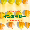 インカベリー　✳︎食用ほおずき✳︎ 化学肥料・農薬不使用栽培
