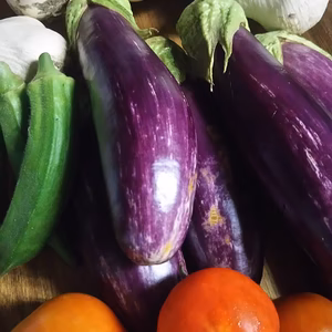 No pesticides 25years