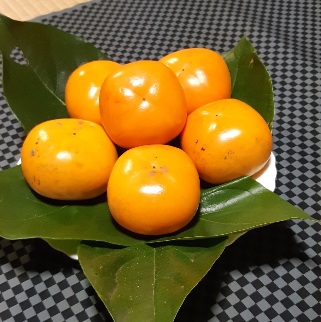 たねなし柿 (箱込み5kg以内・約20〜30個入り)・ご家庭用 本州・四国・九州(北海道・沖縄・離島などを除く) 箱込み5kg以内