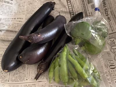 みんなの投稿の画像