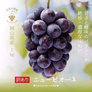 WP-1 岡山　花笑み農園　訳あり『ニューピオーネ』約１kg