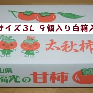 甘柿　｢太秋柿」 白箱　３L　９個入り　２.２kg以上
