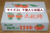 甘柿　｢太秋柿」 白箱　３L　９個入り　２.２kg以上