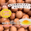 国産赤たまご40個Lサイズ【飼育期間中ホルモン剤、抗生剤不使用】破損保証2個含む