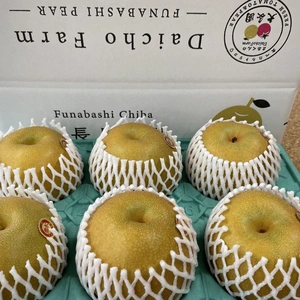 まんまるお月見梨【あきづき】 千葉県船橋市産♡食べたらトリコ