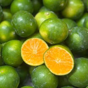 しこさん専用ページ