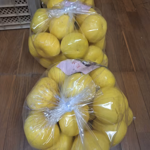 ※訳あり混合２Ｌ　土佐文旦10キロ入１箱(保存袋付き)