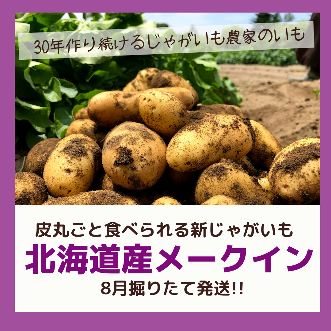 8月発送 北海道産メークイン 掘りたて新じゃが 農家漁師から産地直送の通販 ポケットマルシェ