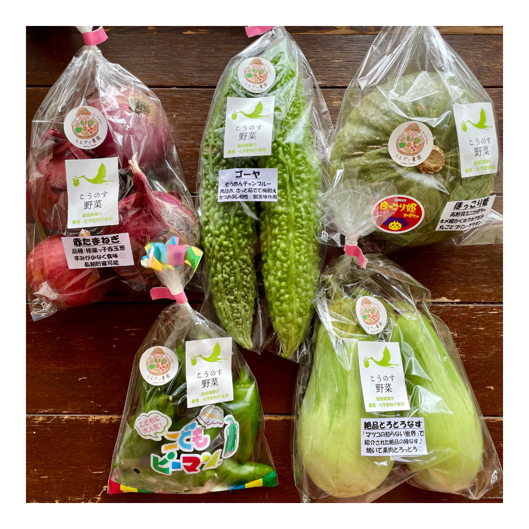 【専用】野菜様 野菜三昧（R）｜種（タネ）,球根,苗,資材,ガーデニンググッズの通販は