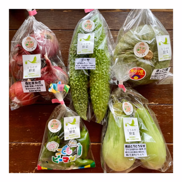 【8周年福袋】 vege箱 野菜セット農薬・化学肥料不使用♪個包装