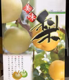 新高梨　9月末頃～　秀品5玉～9玉サイズの梨　2.5キロ箱　化粧箱入り