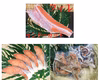同梱セット 生冷鮭フィレ約1.5kg & 生冷鮭切身5切 & 生冷鮭カマ1kg