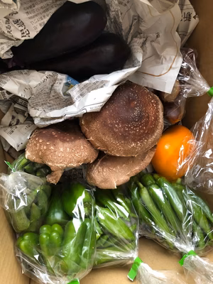 みんなの投稿の画像