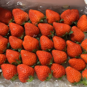 1月の❤️きらきら❤️ほのかちゃん