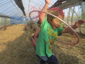 14570429_1079762812131498_4597835623016806243_n