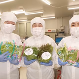 関 茂 | 株式会社サイテックファーム