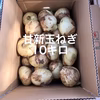 【鹿児島産】甘塩新玉ねぎ10キロ^_^