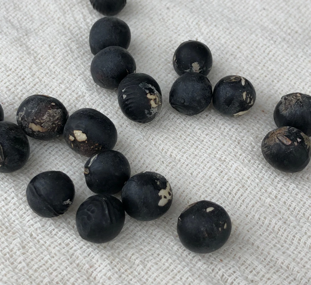 【訳あり丹波黒大豆　２００g】皮の破れやシワがあっても、味は丹波黒！