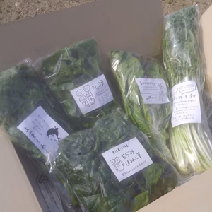 優しい菜っ葉詰め合わせセット(5袋)